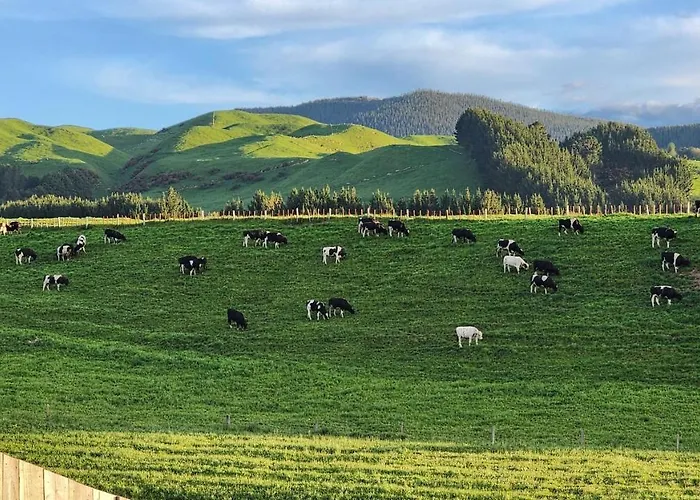A Stunning Retreat In Rotorua! 로토루아