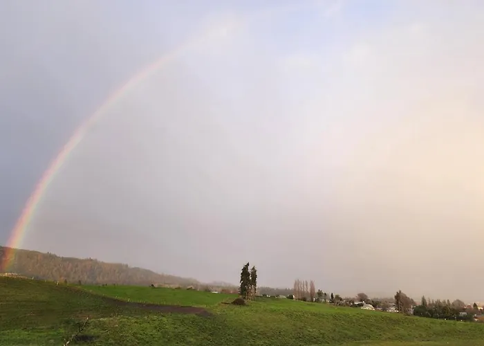 A Stunning Retreat In Rotorua! 4*