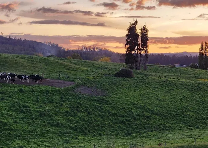 A Stunning Retreat In Rotorua! 게스트하우스 4*